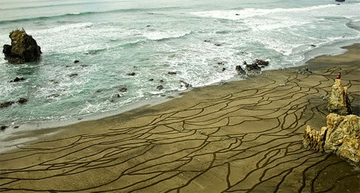 Ecopinturas en San Francisco