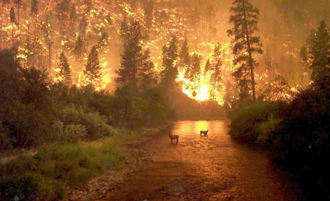 incendio cantabria octubre 2017 aventura amazonia.jpg