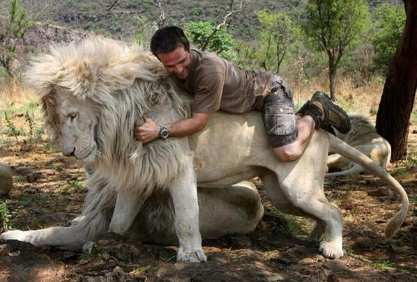kevin richardson cabalgando leones