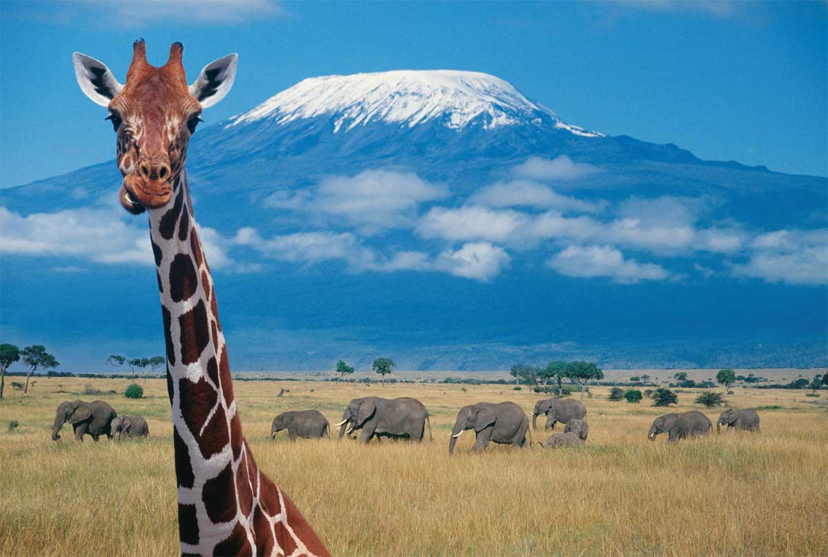 kilimanjaro kenia aventura amazonia.jpg