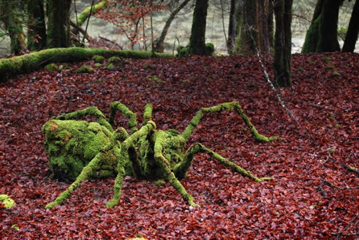 land-art-arana.jpg