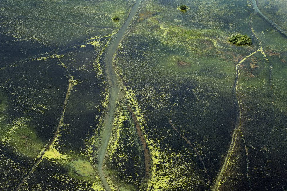 marismas Amapá Brasil aventura amazonia.jpg