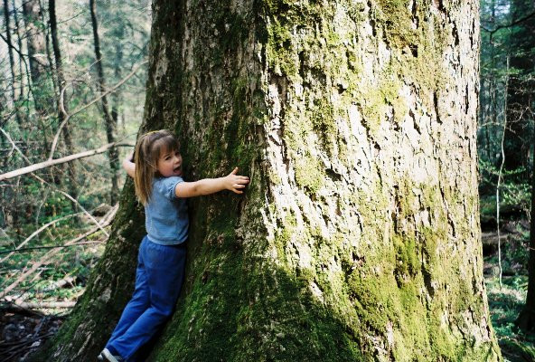 niña-abrazo-arbol.jpg