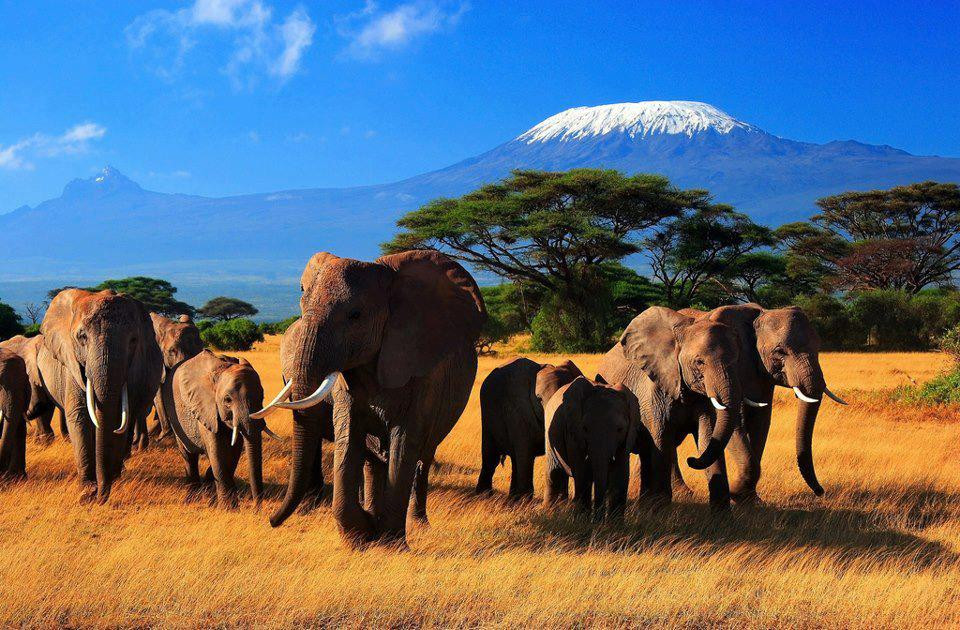 parque nacional amboseli aventura amazonia4.jpg