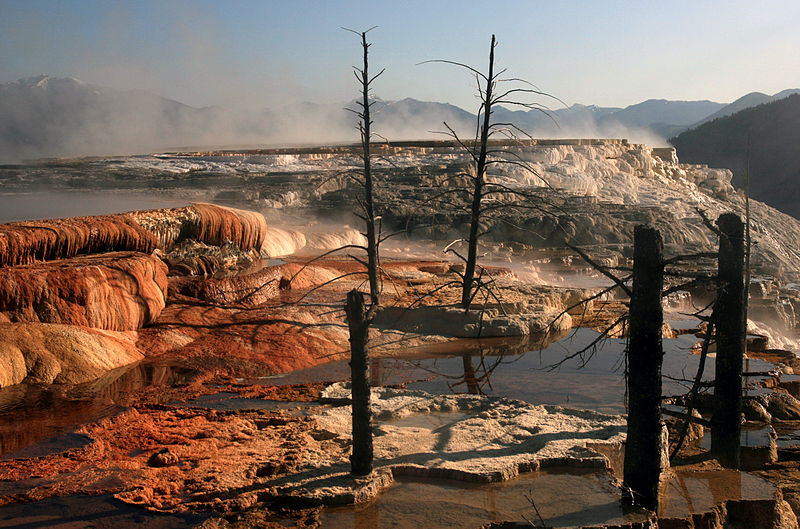parque yellowstone aventura amazonia.jpg