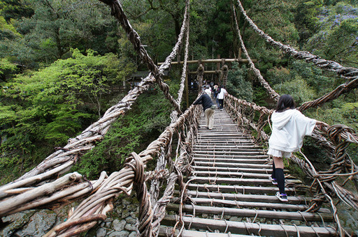 puentes-iya-kazurabashi.jpg