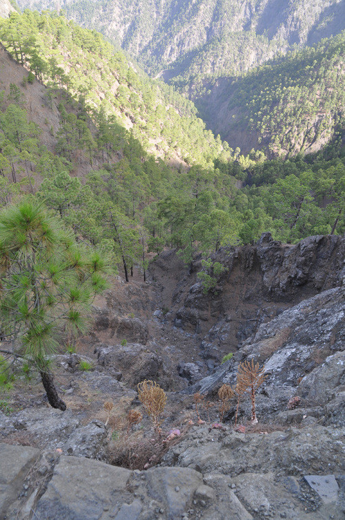 senderismo trekking caldera taburiente la palma islas canarias Barranco de las Angustias aventura amazonia.jpg