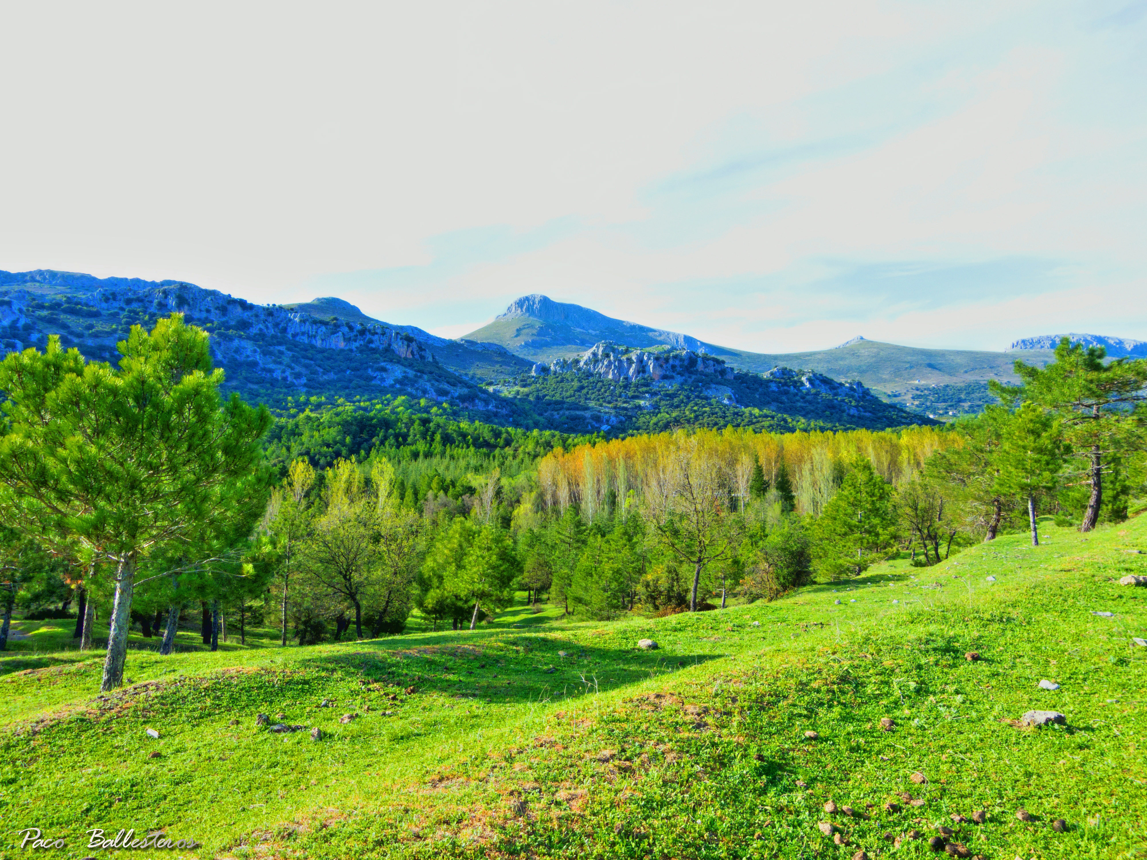 sierra de huétor en víznar.jpg