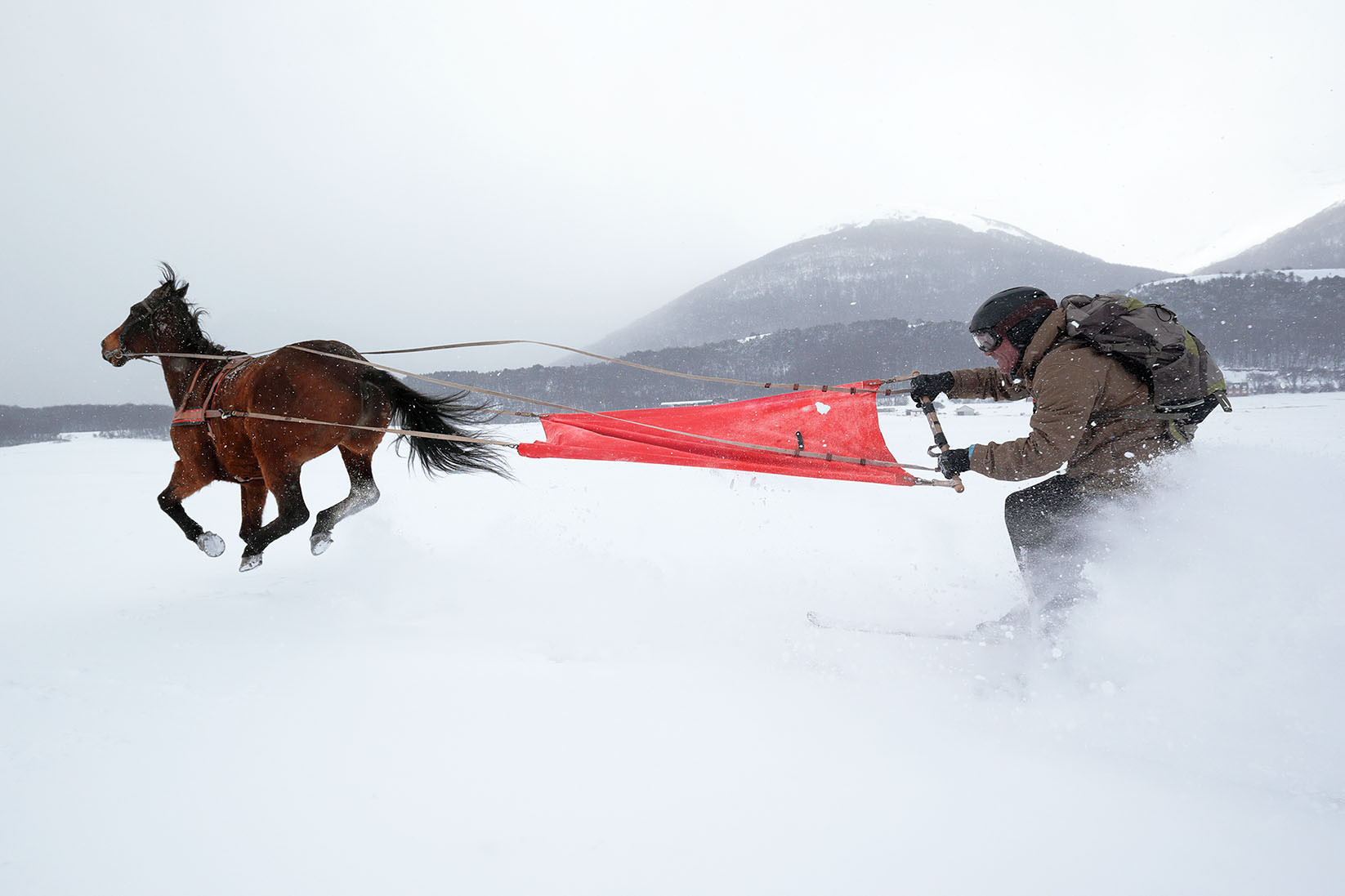 skijoring .jpg