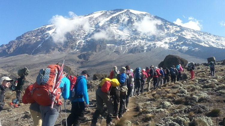 trekking kilimanjaro lemosho ruta cráter camp aventura amazonia.jpg