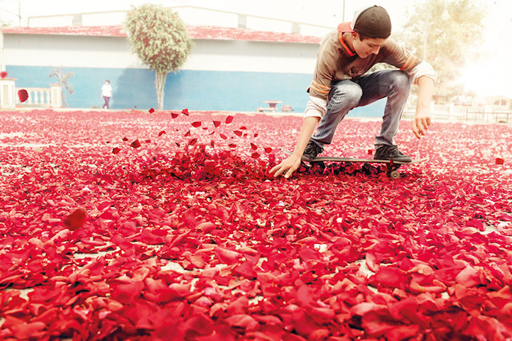 Petalos Volcán chico